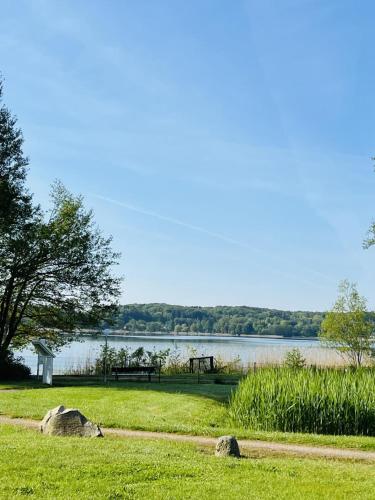 a park with a picnic table and a lake at Landhaus am See App. 2 in Pönitz am See