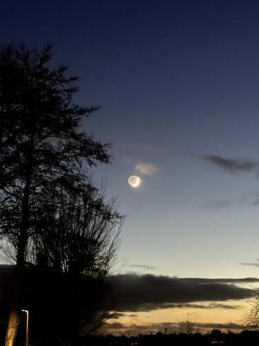 a moon in the sky next to a tree at Landhaus am See App. 2 in Pönitz am See