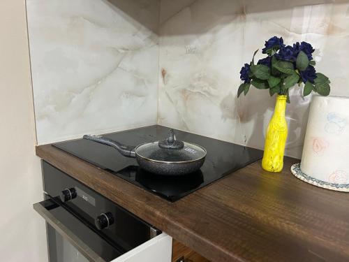 a kitchen counter with a frying pan and a vase of flowers at Ndregjoni Albanian Village House in Klos