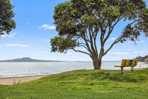 a bench sitting next to a tree next to the water at Beach Front Dream Lifestyle in Auckland