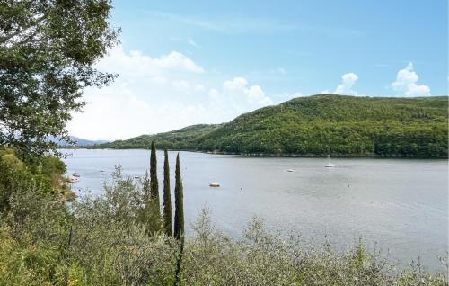 a view of a lake with trees and a mountain at La Giuncaia in Pieve Santo Stefano