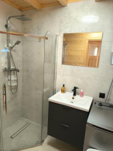 a bathroom with a sink and a shower at DOMEK AGA in Kruklanki