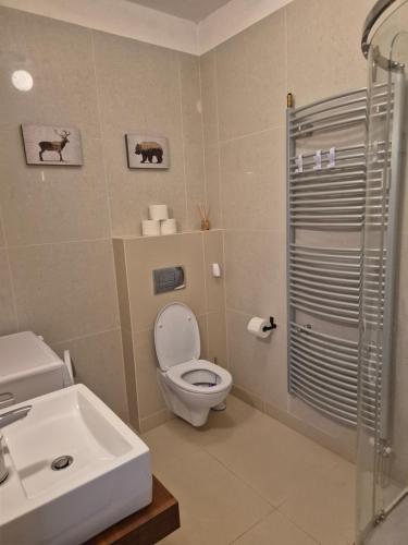a bathroom with a toilet and a sink and a shower at High Tatras Apartment J303 in Veľká Lomnica