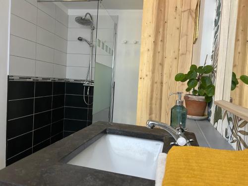 a bathroom with a sink and a shower at Gîte Bambou in Saint-Lunaire