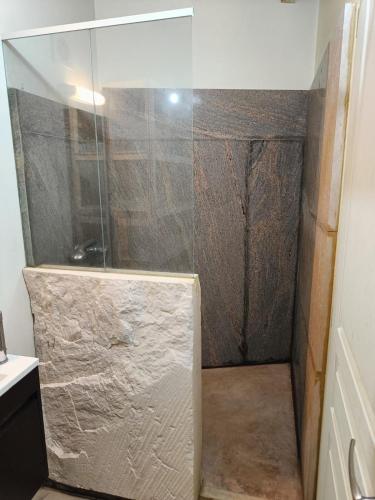 une douche avec une porte vitrée dans une salle de bain dans l'établissement Appartement a louer à Cruas, à Cruas