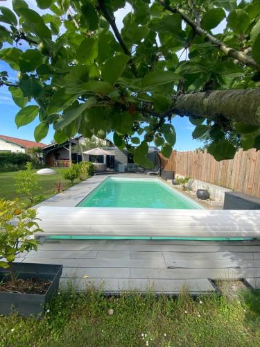- une piscine dans une cour avec un arbre dans l'établissement Villa spacieuse piscine jardin jacuzzi, à La Celle-sous-Gouzon