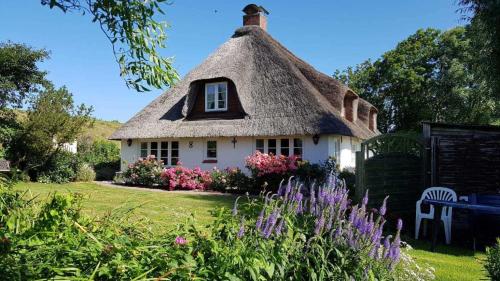 Zahrada ubytování Haus Husen ID 430
