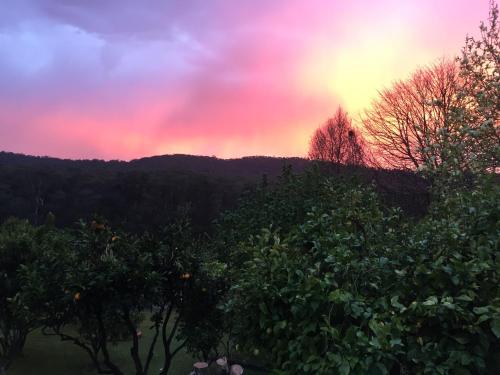 Un paisaje natural cerca de la casa vacacional
