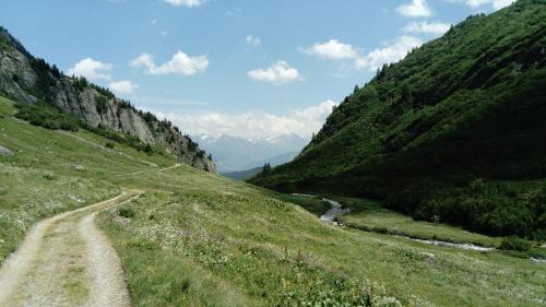 a dirt road through a grassy hill with a river at lieu secret 2 dans les Alpes suisses in Le Trétien