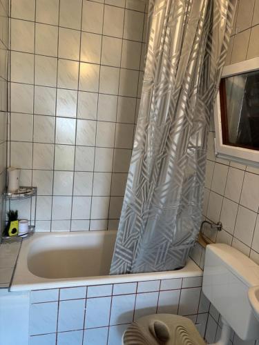 Ένα μπάνιο στο Studio apartman Matea