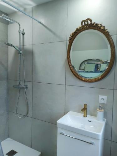 a bathroom with a shower and a sink and a mirror at Les deux sources in Saint-Laurent-en-Royans