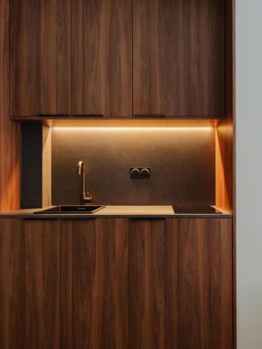 une cuisine avec un évier et des armoires en bois dans l'établissement Maison du Moulin Vert, à Paris