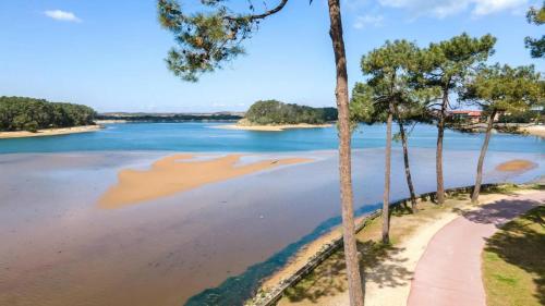 布科·莱斯白老城Chambre d'Hôtes du Lac的享有棕榈树河流的景色