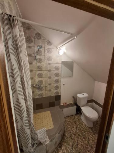 カウナスにあるA&L private rooms in Kaunasのシャワーとトイレ付きのバスルーム