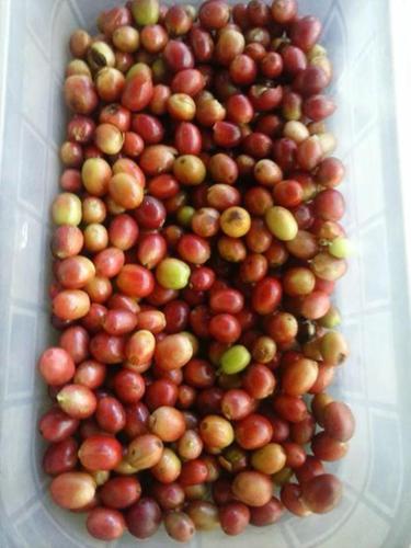 a bunch of apples in a plastic container at El Refugio La Brisa del Diablo in Valle Hornito