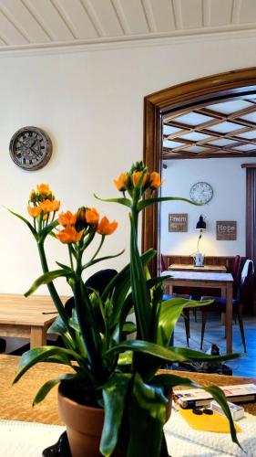 a potted plant with orange flowers in a room at Organic BnB Froschknig Dorfplatz in Gersau
