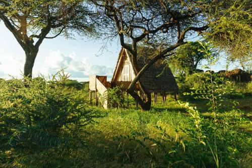 a small house in the middle of a field with trees at Olemayian Amboseli Cottages in Kimana