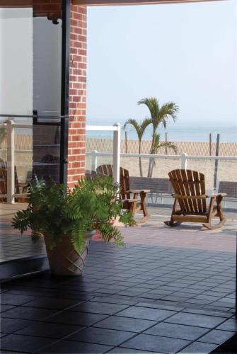 a potted plant sitting on a patio near the beach at Plim Plaza Hotel in Ocean City