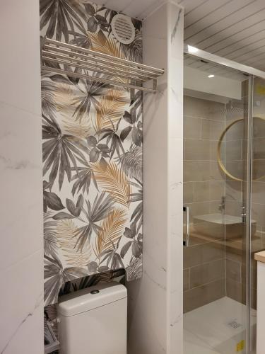 une salle de bain avec douche et toilettes dans une chambre dans l'établissement Appartement rez de jardin climatisé, au Cap d'Agde