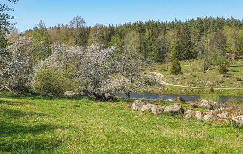 a field with rocks and a river and trees at 4 Bedroom Stunning Home In Åtvidaberg in Åtvidaberg