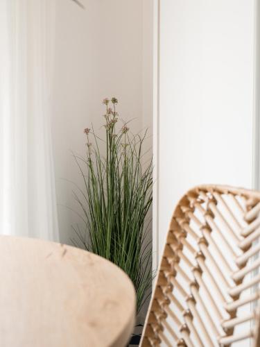 a chair and a plant next to a window at Marina Palace Apartments & Terrace in Lipari