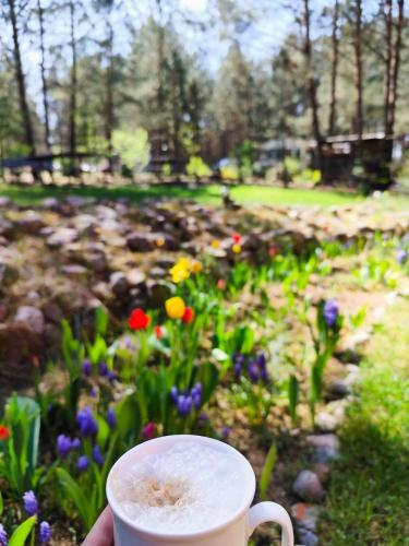 a cup of coffee in a garden with flowers at Fajno Chałupa in Konarzyny
