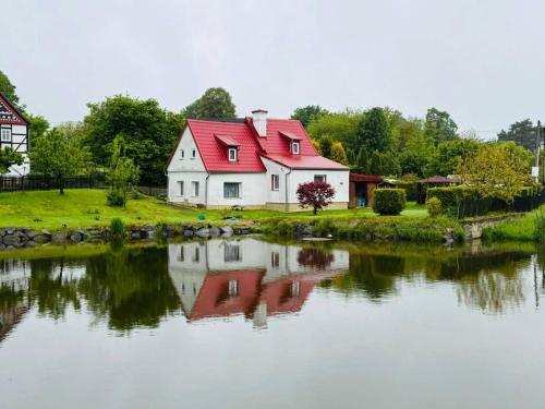 a house with a red roof next to a lake at Domeček Drahuška in Janov