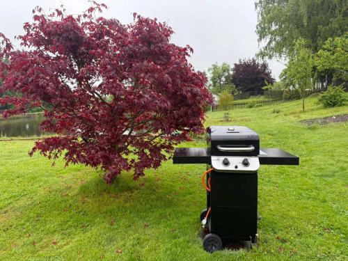 a grill sitting in the grass next to a tree at Domeček Drahuška in Janov