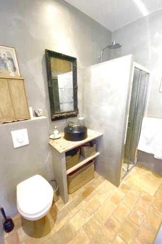 une salle de bain avec toilettes, lavabo et douche dans l'établissement Beautiful house pool Aix-en-Provence, à Aix-en-Provence