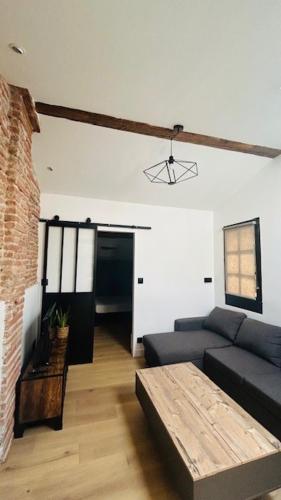 un salon avec un canapé et une table basse dans l'établissement T2 de charme, au cœur de ville avec climatisation, à Toulouse