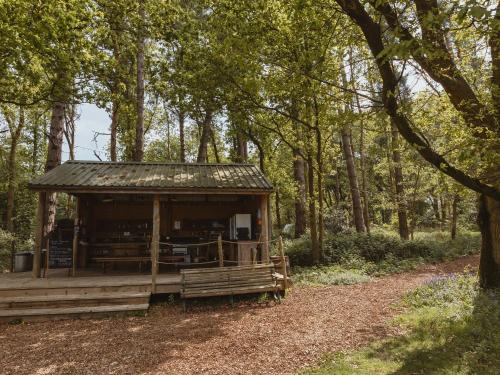 a wooden cabin in the middle of a forest at Moat Island Glamping in Norwich