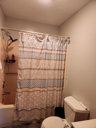 a bathroom with a shower curtain and a toilet at 2BR in Peaceful Country Near Ithaca in Willseyville