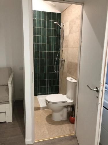 a bathroom with a toilet and a green tiled shower at Petite pause à la Viarhona in Condrieu