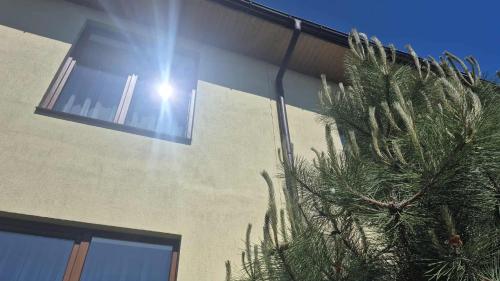 a light on the side of a building with a tree at Chayka Resort in Odesa