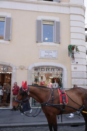 Deluxe Spanish Steps