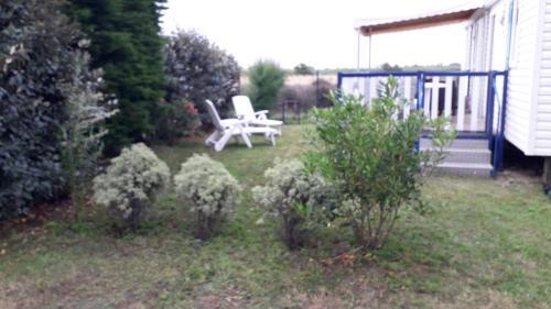 une cour avec deux chaises blanches et quelques buissons dans l'établissement le marais ile d'oleron, à Saint-Denis-dʼOléron