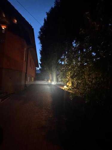 an empty street at night with trees and lights at Pensjonat E&M in Mikołajki