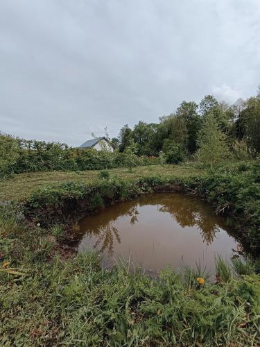a pond in the middle of a field at Dom wśród łąk in Suwałki