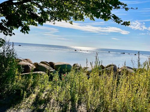 a view of a beach with rocks and the ocean at Cozy container Skillinge, Österlen in Skillinge