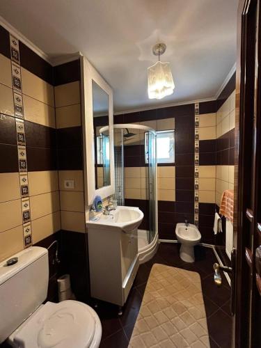 a bathroom with a toilet and a sink at Apartament zona 1 Decembrie in Tecuci