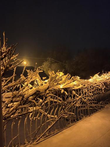 a fence covered in snow at night at Frankenberg-am-Wald Frankenberg an der Eder in Frankenberg