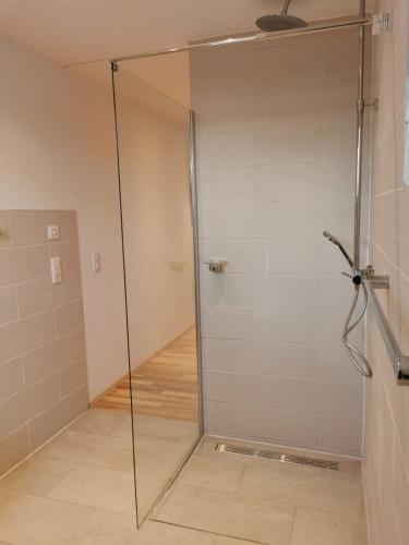 a shower with a glass door in a bathroom at Ranch du pont urgin in Planrupt