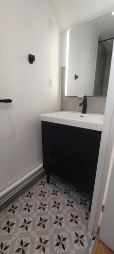 une salle de bain avec un lavabo et un miroir dans l'établissement Alpine Stay Studio mansardé Chorrier Berriat Clinique Mutualiste, à Grenoble