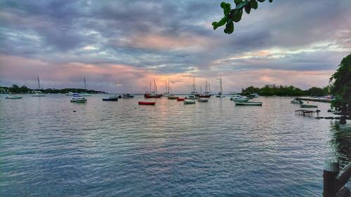 a group of boats sitting in the water at sunset at Tropical Edge in Trou dʼ Eau Douce