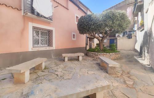 deux bancs assis à côté d'un bâtiment avec un arbre dans l'établissement 1 Bedroom Lovely Apartment In Meze, à Mèze
