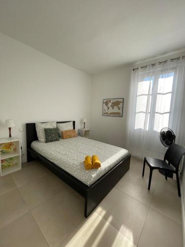 P3, 2 bedrooms, quiet, Montpellier city center