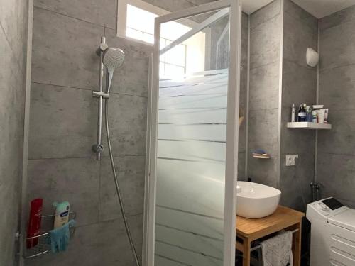 une salle de bain avec douche et lavabo dans l'établissement À 2 mn du Remblai, de la plage et des commerces, à Les Sables-dʼOlonne