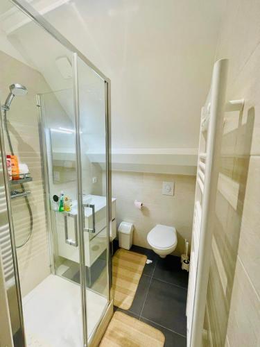 une salle de bain avec douche et toilettes dans l'établissement Cottage Malenkiy, à Cabourg