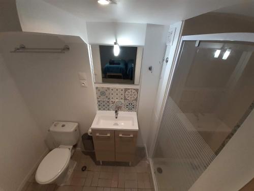 une salle de bain avec toilettes, douche et lavabo dans l'établissement Studio Le bon coin, à Condrieu