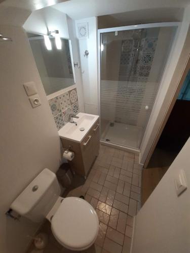 une petite salle de bain avec toilettes et douche dans l'établissement Studio Le bon coin, à Condrieu